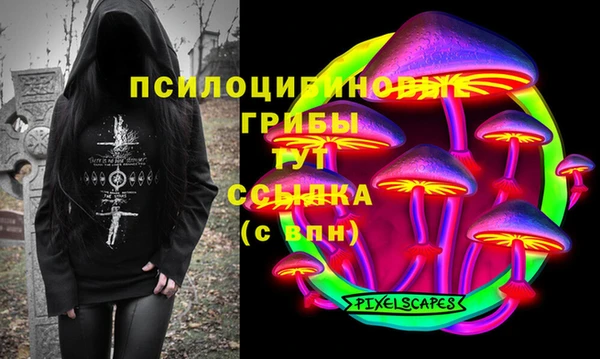 бошки Осташков