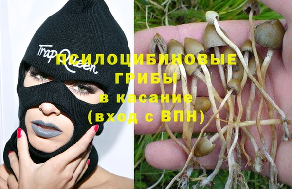 бошки Осташков