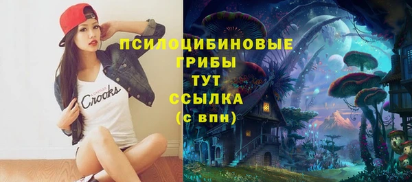 дурь Абинск